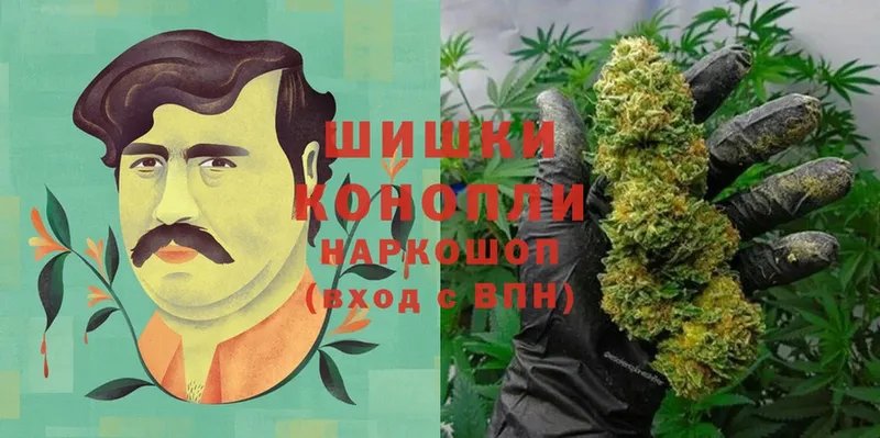 купить закладку  Кинель  ссылка на мегу маркетплейс  Каннабис OG Kush 